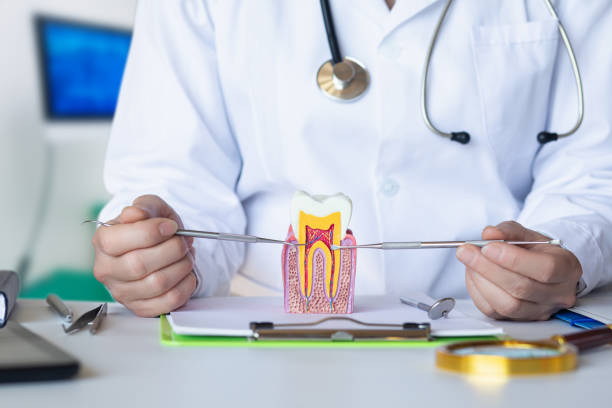 Best Emergency Treatment for Oral Infections in Triana, AL